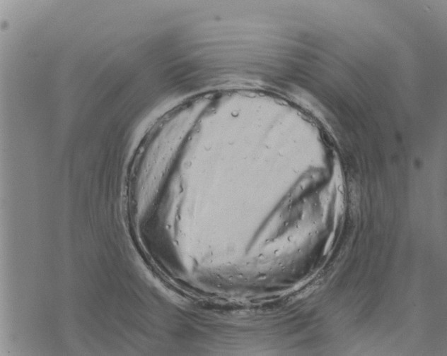 X0000073701379200608311719