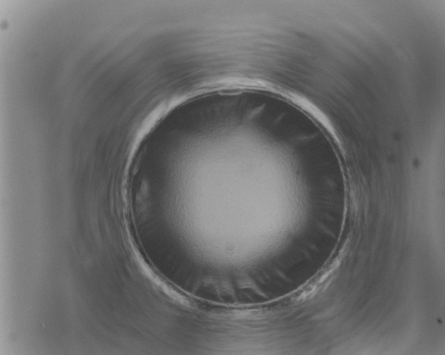 X0000073701381200608311719