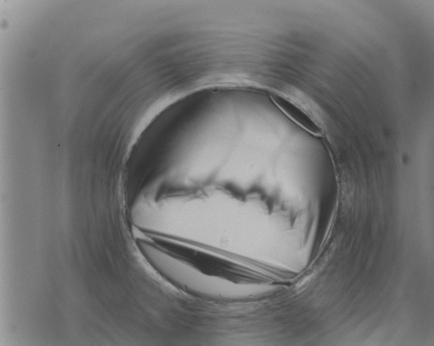 X0000073701382200608311719