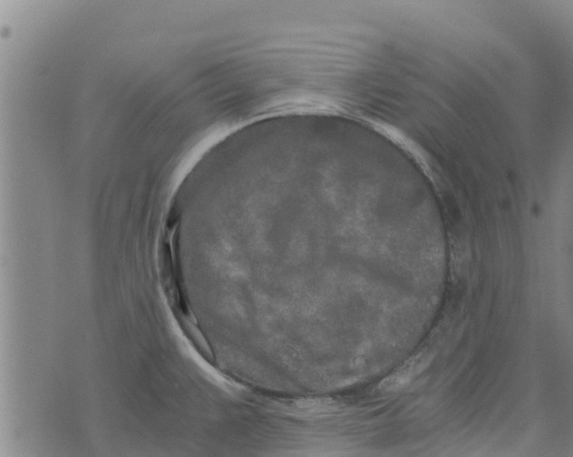 X0000073701383200608311719