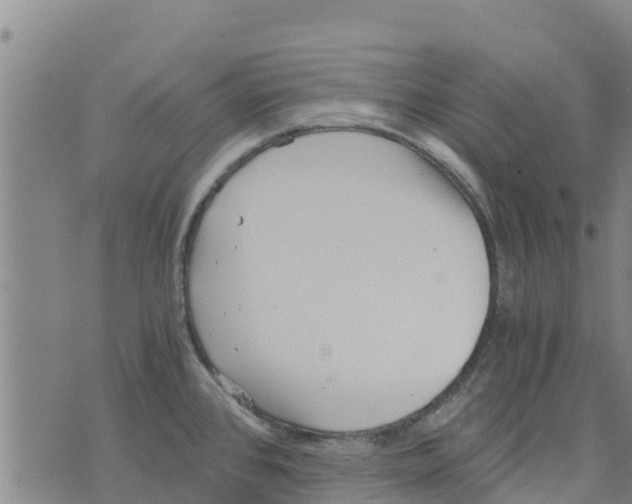 X0000073701384200608311719