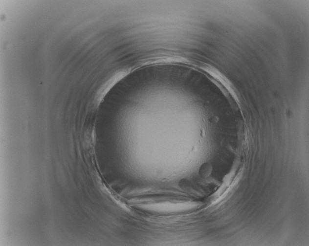 X0000073701385200608311719