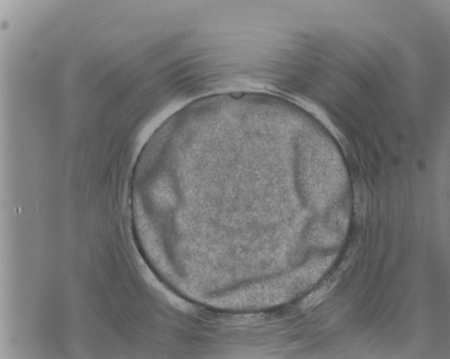 X0000073701387200608311719