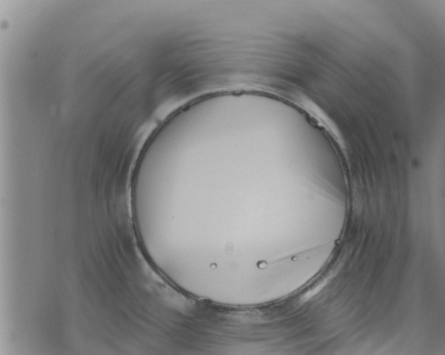 X0000073701388200608311719