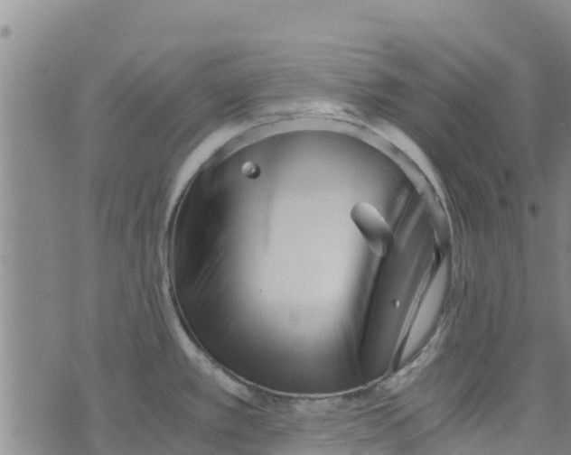 X0000073701389200608311719