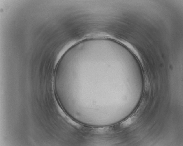 X0000073701390200608311719