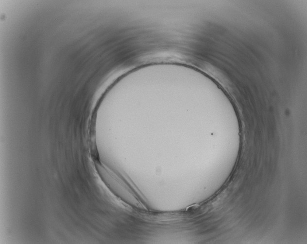 X0000073701392200608311719