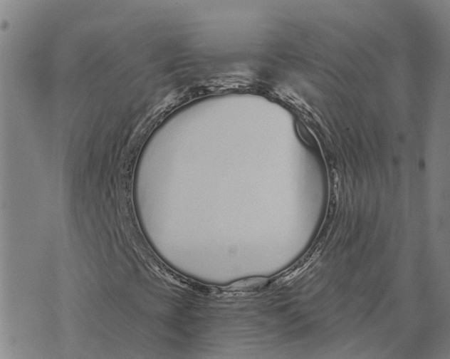 X0000073701393200608311718