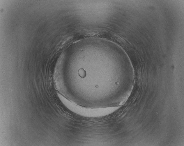 X0000073701394200608311718