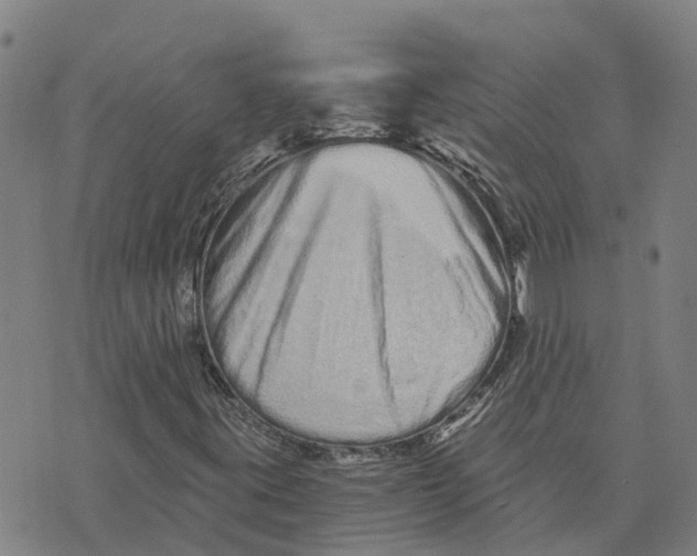 X0000073701395200608311718