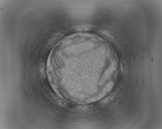 X0000073701396200608311718