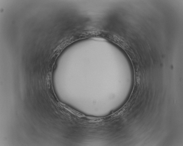 X0000073701397200608311718