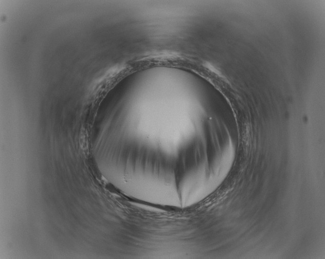 X0000073701398200608311718