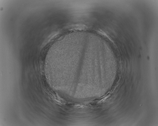 X0000073701399200608311718