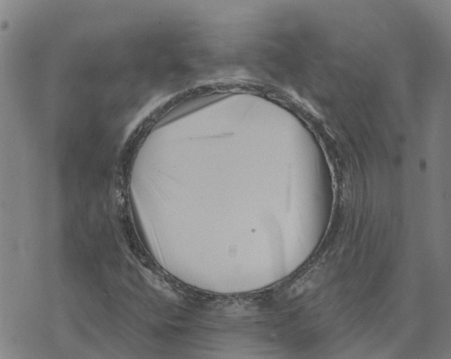 X0000073701400200608311718