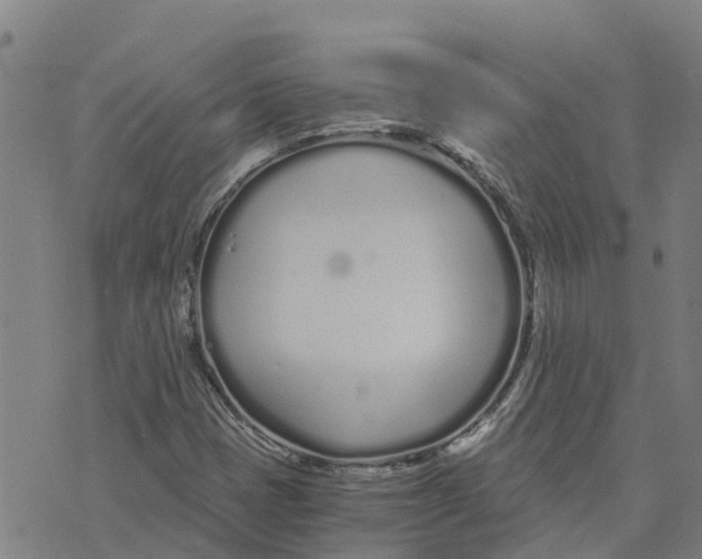 X0000073701401200608311718