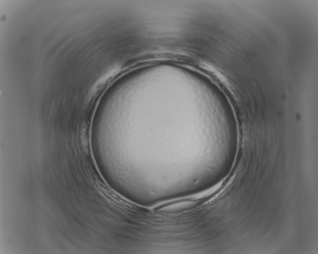 X0000073701403200608311718