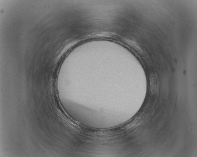 X0000073701404200608311718