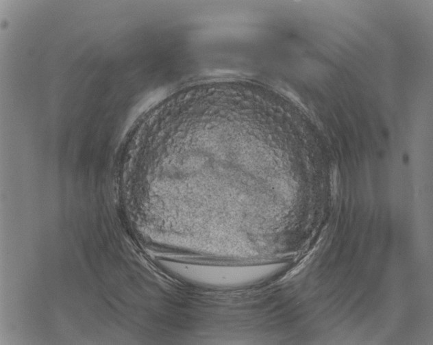 X0000073701405200608311718