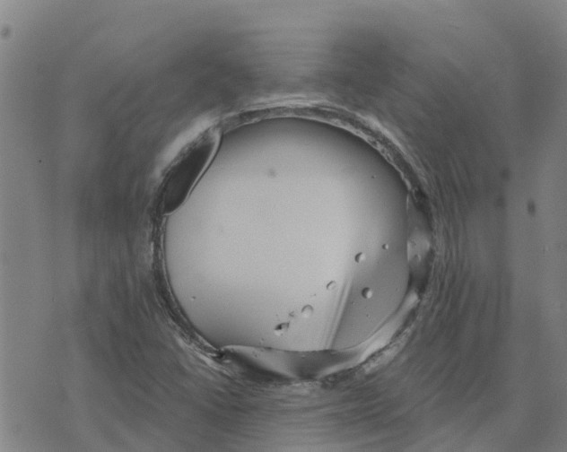 X0000073701406200608311718