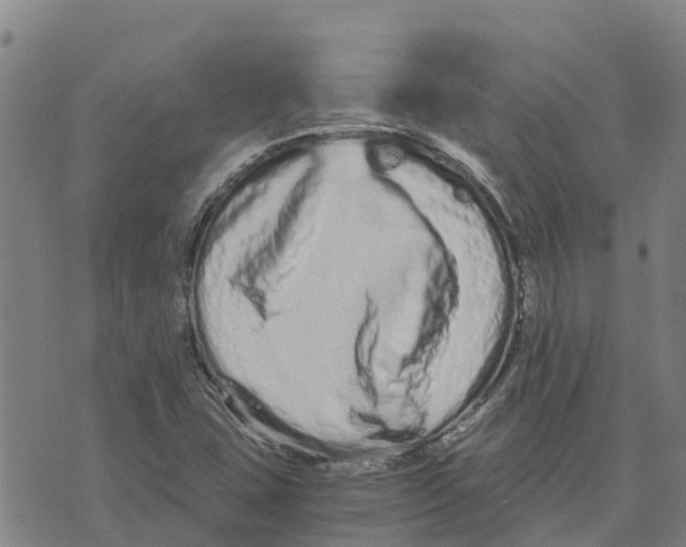 X0000073701407200608311718