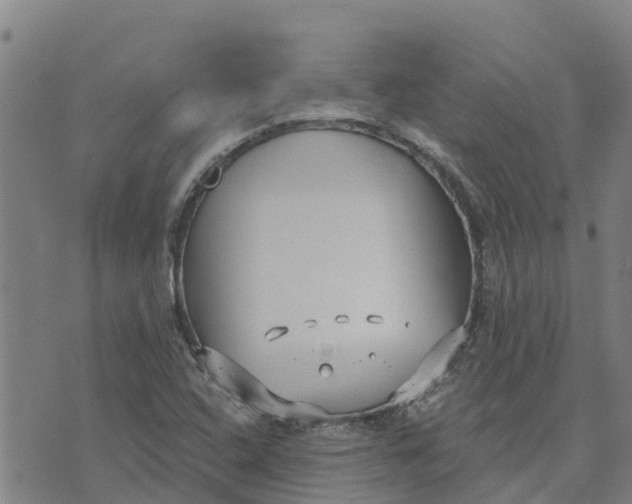 X0000073701408200608311718