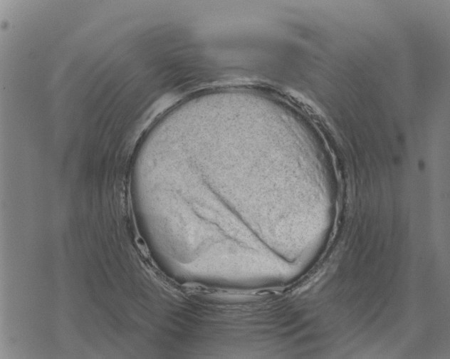 X0000073701409200608311718