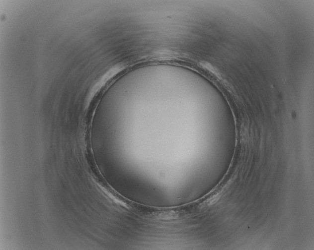 X0000073701410200608311718