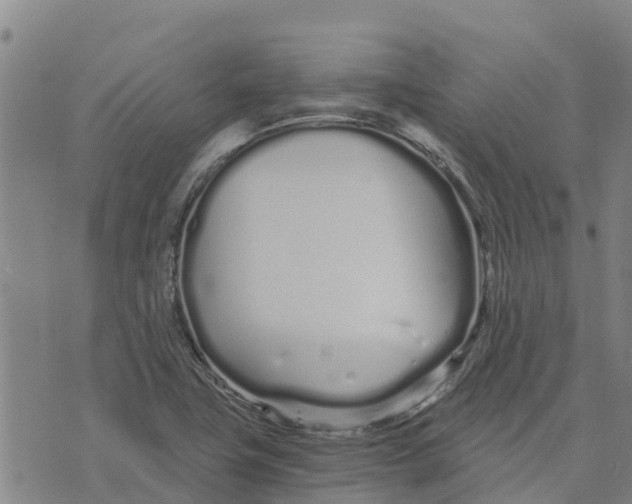 X0000073701411200608311718