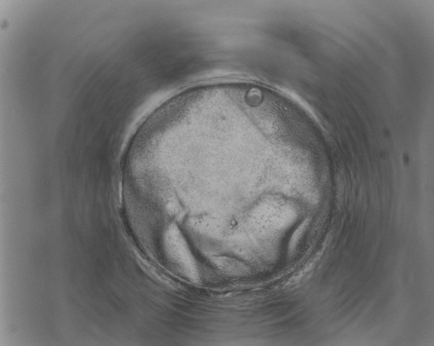 X0000073701413200608311718