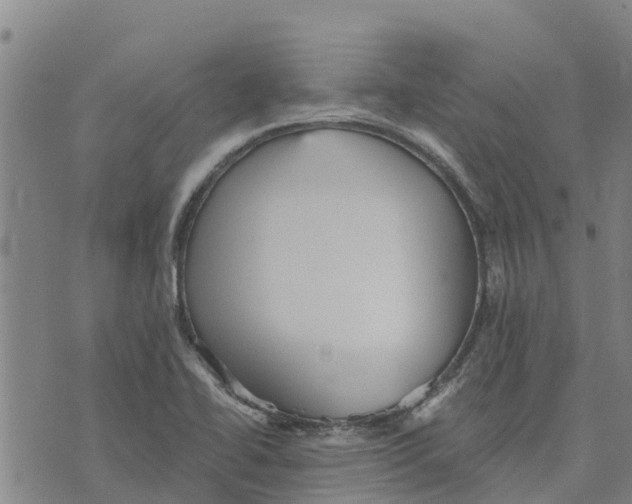 X0000073701414200608311718