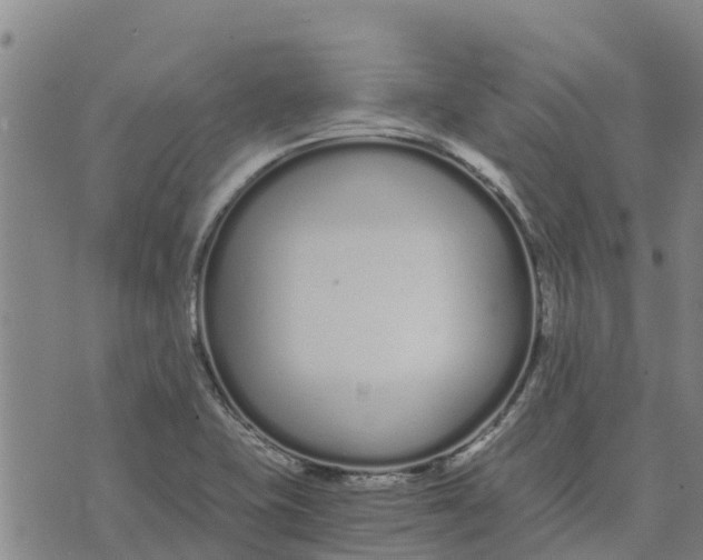 X0000073701415200608311718