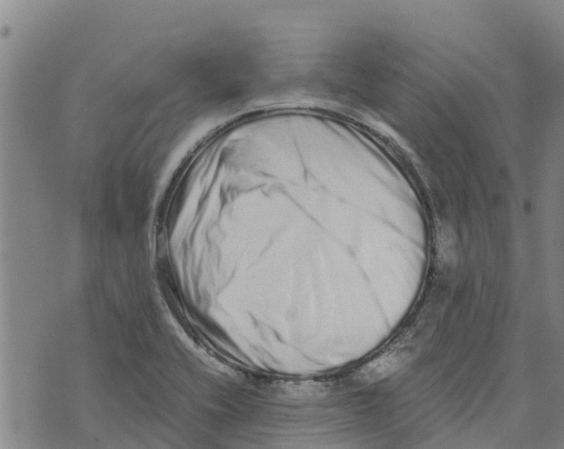 X0000073701416200608311718