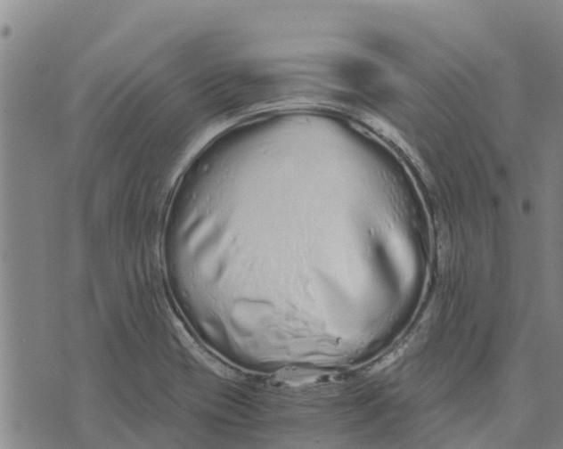 X0000073701417200608311718