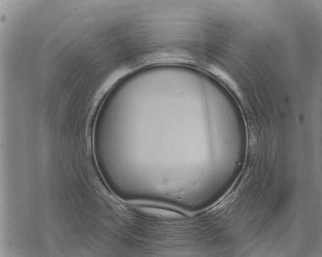 X0000073701419200608311718