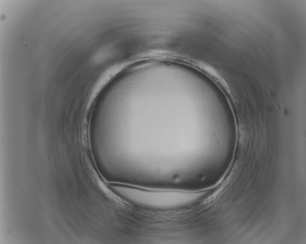 X0000073701421200608311718