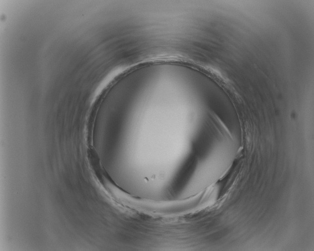 X0000073701422200608311718