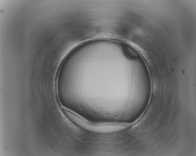 X0000073701423200608311718