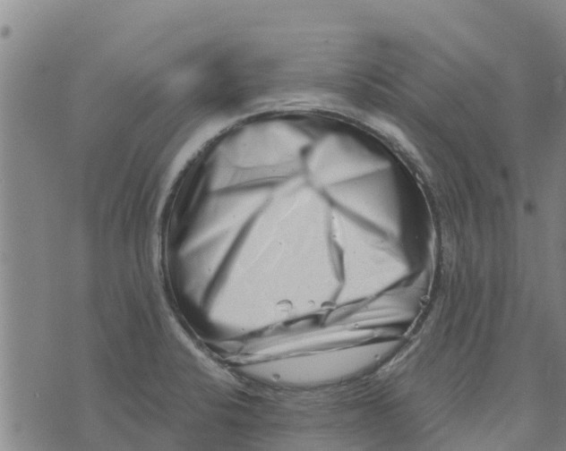 X0000073701424200608311718