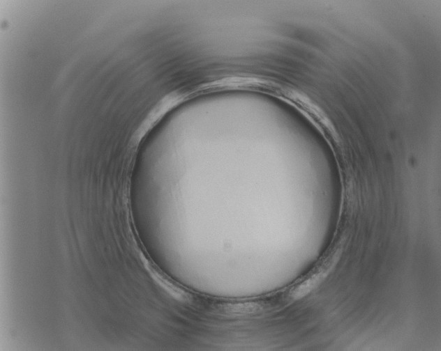 X0000073701425200608311718