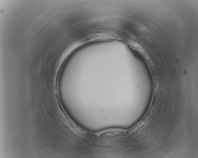 X0000073701427200608311718