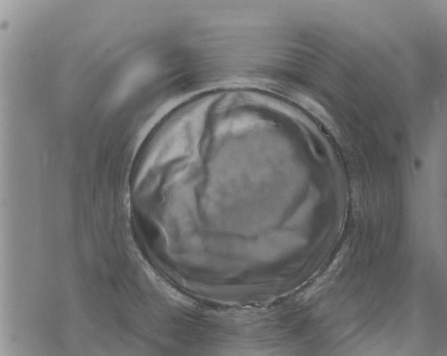 X0000073701428200608311718