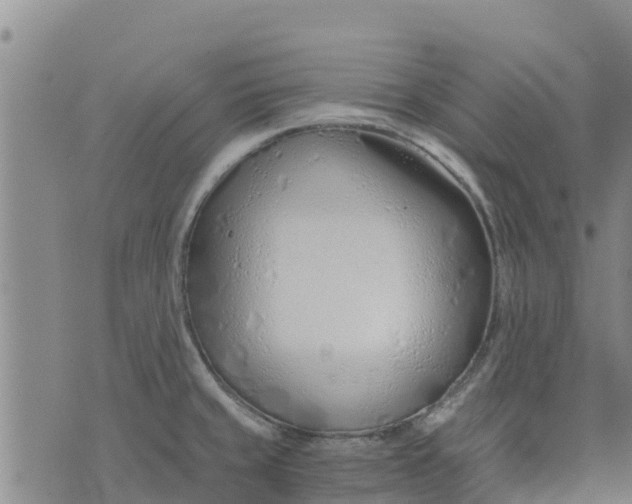 X0000073701429200608311718