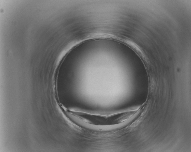 X0000073701430200608311718