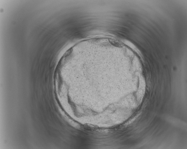 X0000073701431200608311718