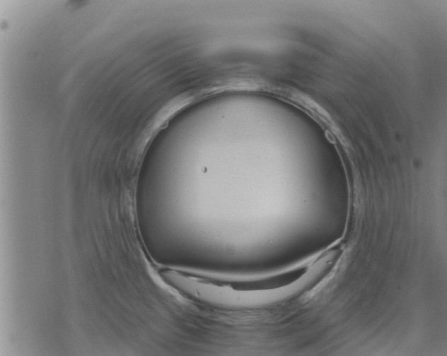 X0000073701433200608311718