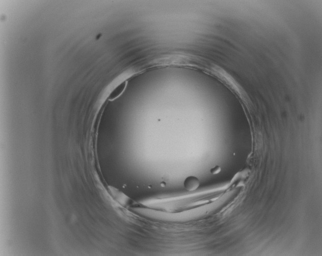 X0000073701434200608311718