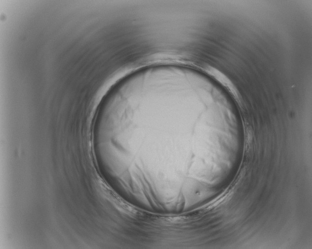 X0000073701435200608311718