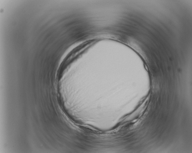 X0000073701436200608311718