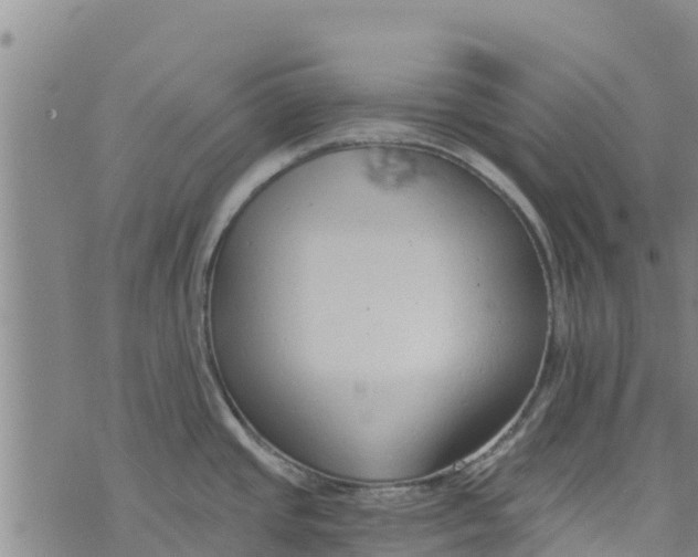 X0000073701437200608311719